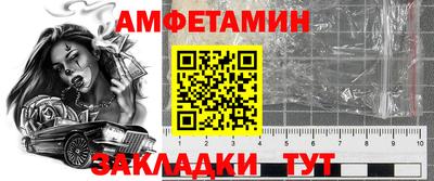 стаф Ставрополь
