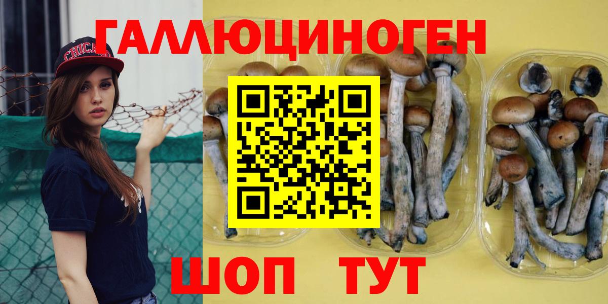 Галлюциногенные грибы Magic Shrooms  Вход с VPN  Гусиноозёрск 